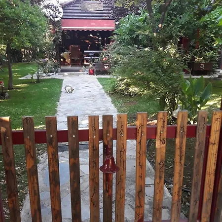 Holidays In The Sea & Mountains * Agia Sofia (Kireas)
